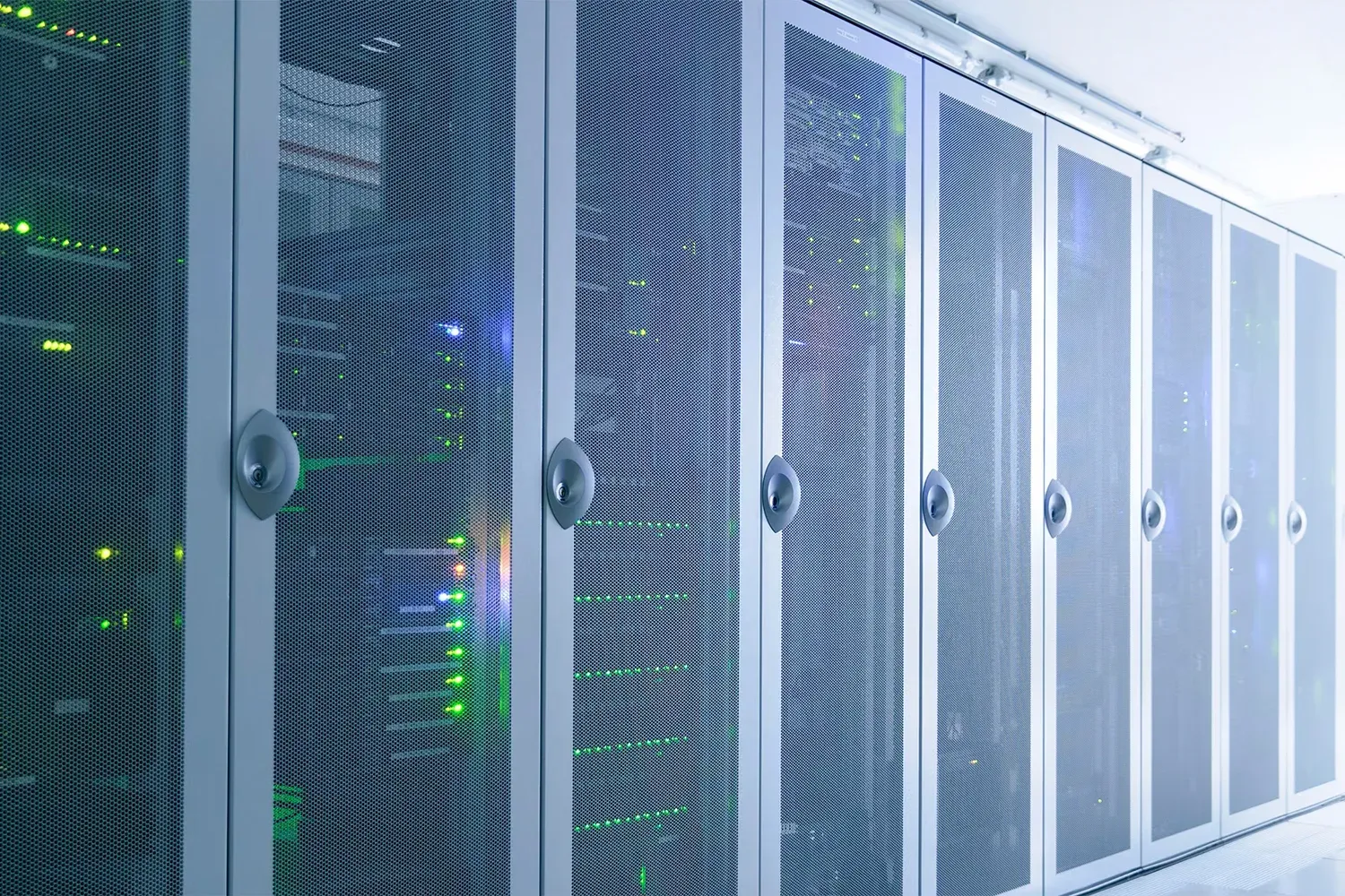 Campus & Enterprise Network / Low Voltage / Cabling