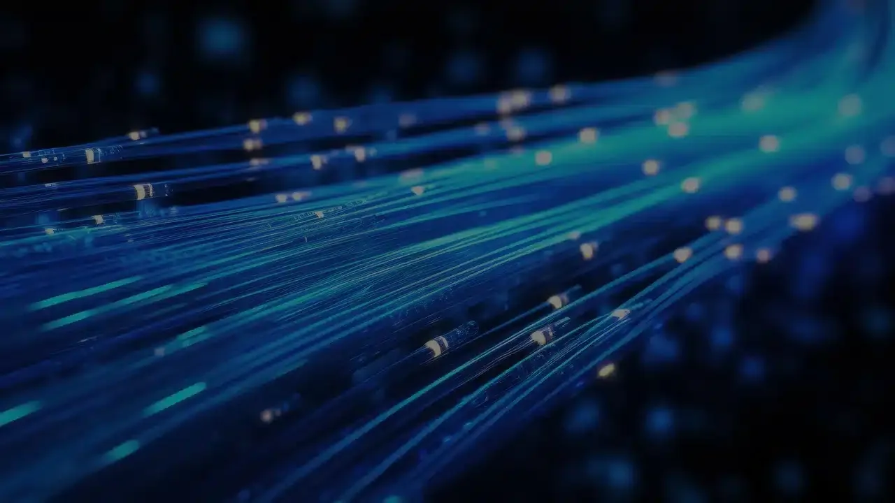 Optical Networking